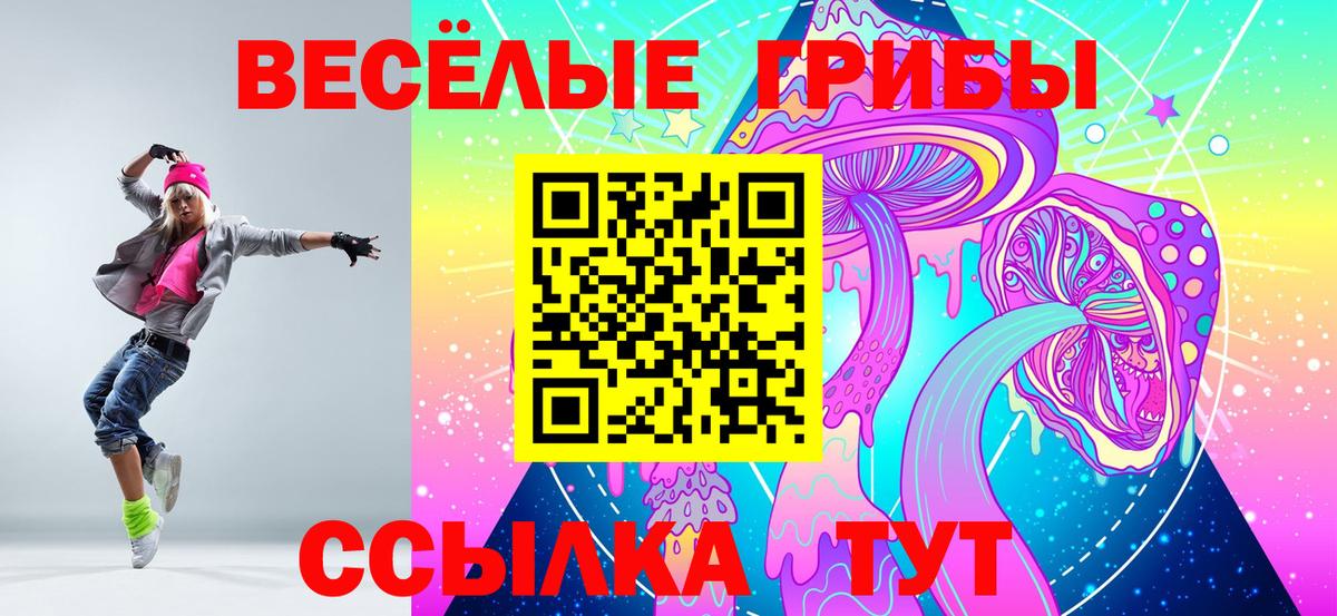 Малоярославец  Галлюциногенные грибы MAGIC MUSHROOMS  Вход с VPN 